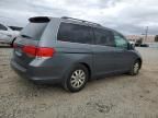 2010 Honda Odyssey EXL