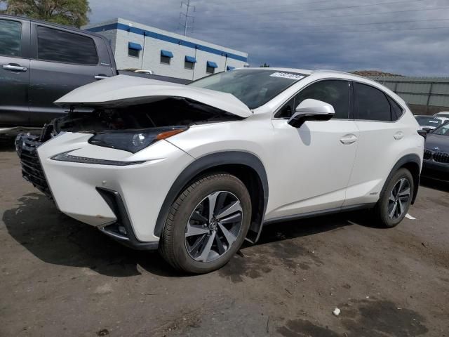 2021 Lexus NX 300H Base