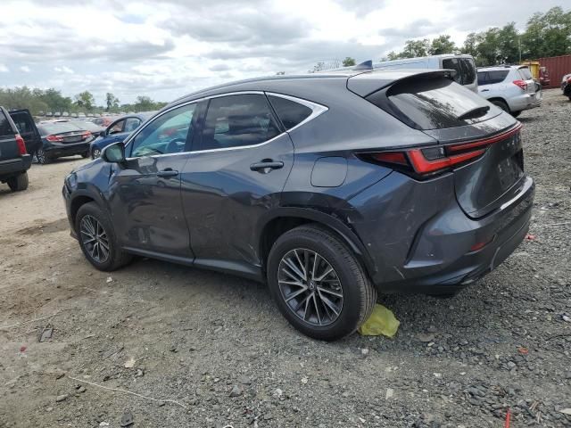 2022 Lexus NX 250