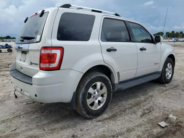 2011 Ford Escape Hybrid