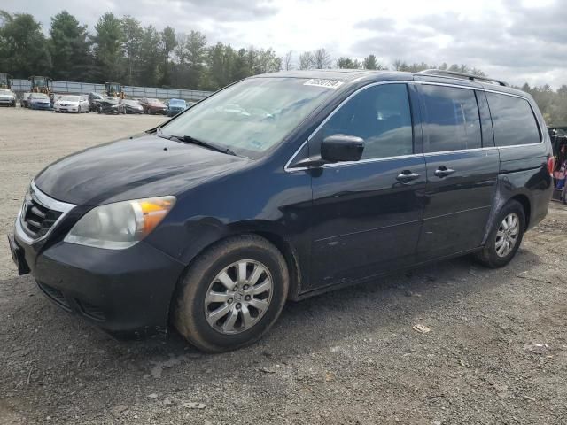 2010 Honda Odyssey EXL