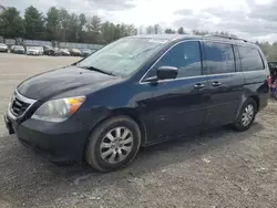 Salvage cars for sale at Finksburg, MD auction: 2010 Honda Odyssey EXL