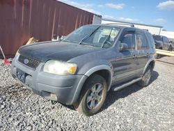 Ford salvage cars for sale: 2007 Ford Escape XLT