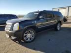 2013 Cadillac Escalade ESV Platinum