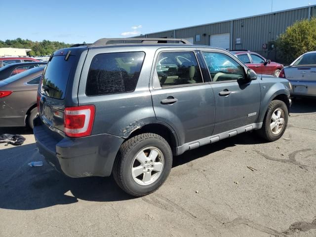 2008 Ford Escape XLT