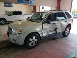 Salvage cars for sale at Angola, NY auction: 2008 Ford Escape XLT