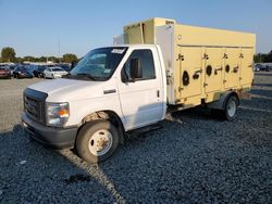 Ford salvage cars for sale: 2019 Ford E450 Super Duty Refrigerated Truck