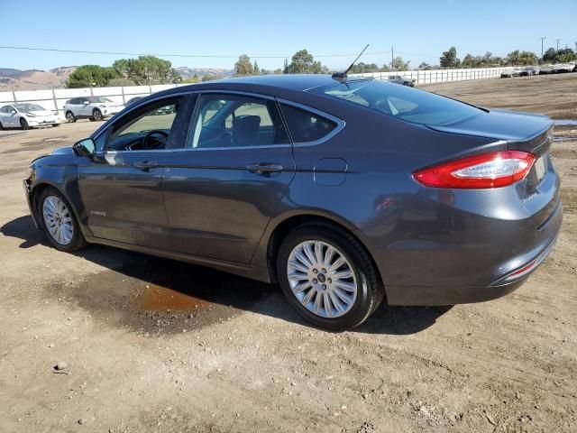 2016 Ford Fusion SE Hybrid