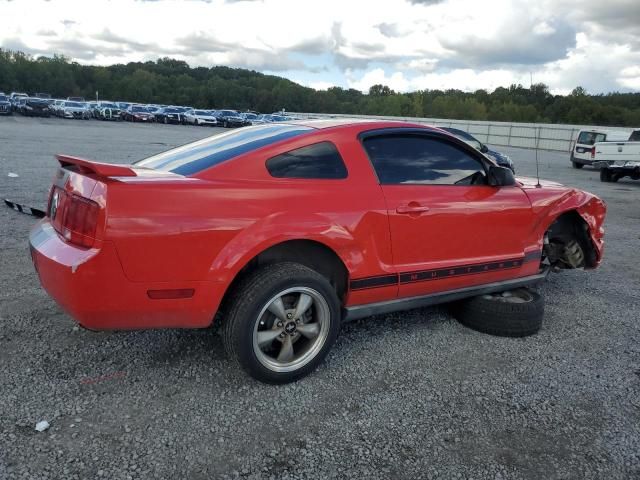 2005 Ford Mustang