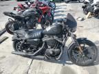 2021 Harley-Davidson XL883 N