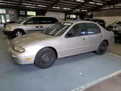 Nissan salvage cars for sale: 1996 Nissan Altima XE