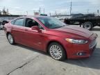 2013 Ford Fusion SE Phev