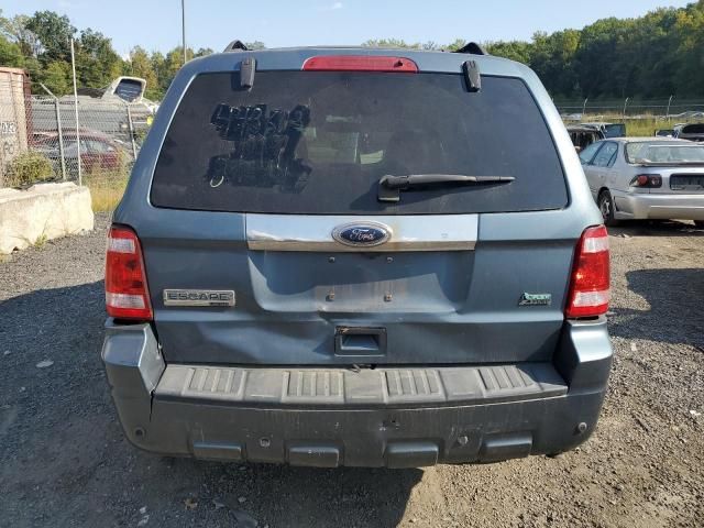 2010 Ford Escape Limited