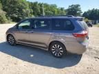 2019 Toyota Sienna XLE