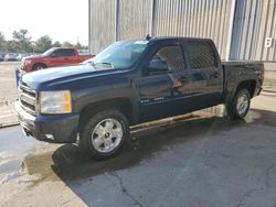 Salvage cars for sale at Lawrenceburg, KY auction: 2008 Chevrolet Silverado K1500