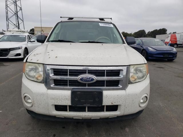 2010 Ford Escape XLT