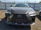 2023 Lexus NX 350H