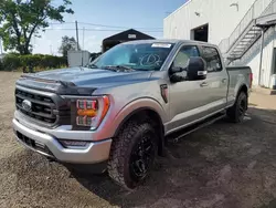 Ford salvage cars for sale: 2023 Ford F150 Supercrew