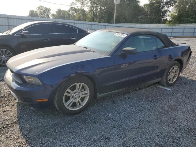 2010 Ford Mustang