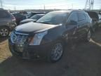 2014 Cadillac SRX Performance Collection