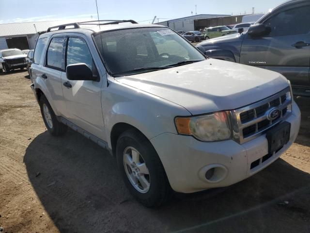 2010 Ford Escape XLS