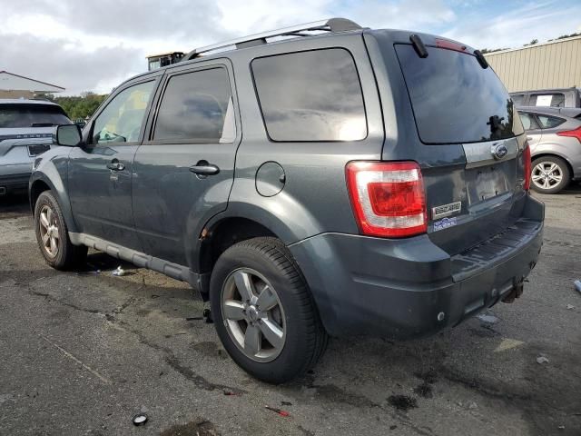 2009 Ford Escape Limited