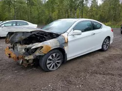 Honda Accord exl salvage cars for sale: 2014 Honda Accord EXL