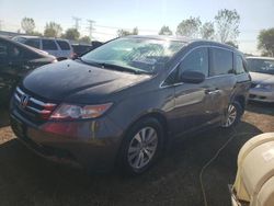 Salvage cars for sale from Copart Elgin, IL: 2014 Honda Odyssey EXL