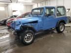 1989 Jeep Wrangler / YJ