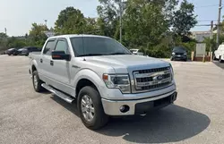 Salvage trucks for sale at Bridgeton, MO auction: 2014 Ford F150 Supercrew