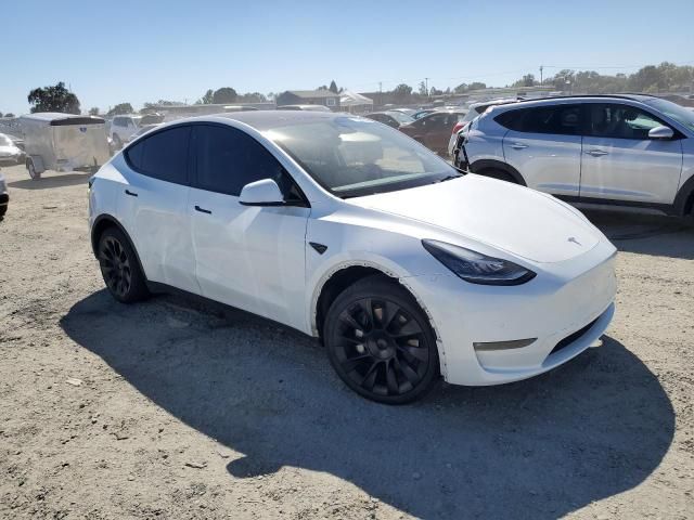 2022 Tesla Model Y