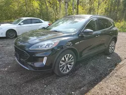 Ford salvage cars for sale: 2020 Ford Escape Titanium