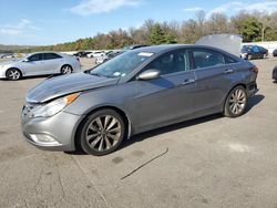 Hyundai Sonata Vehiculos salvage en venta: 2013 Hyundai Sonata SE