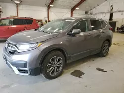 Honda salvage cars for sale: 2021 Honda CR-V EX