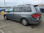 2009 Honda Odyssey EX