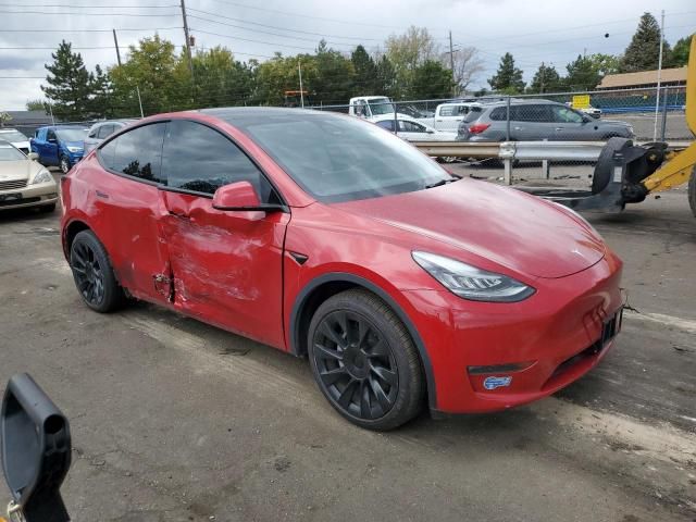 2021 Tesla Model Y