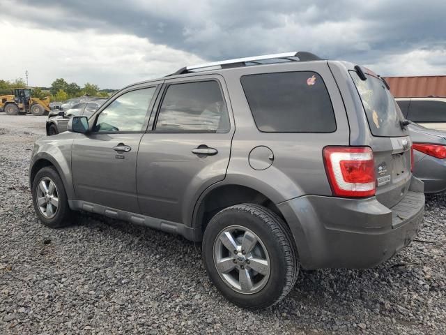 2011 Ford Escape Limited