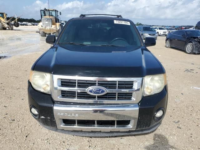 2010 Ford Escape Limited