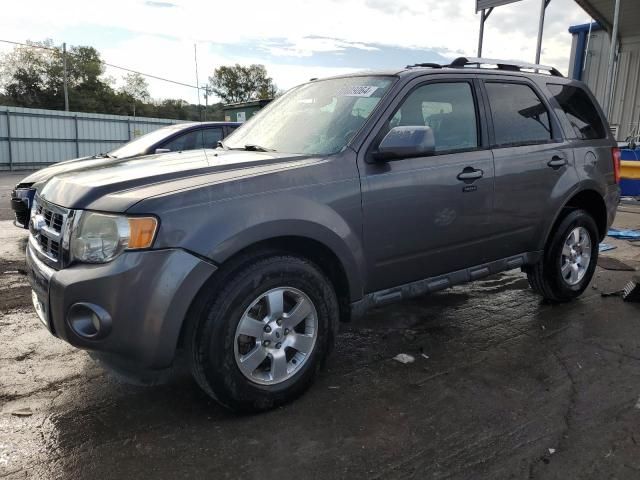 2011 Ford Escape Limited