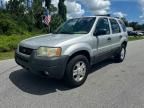 2004 Ford Escape XLT