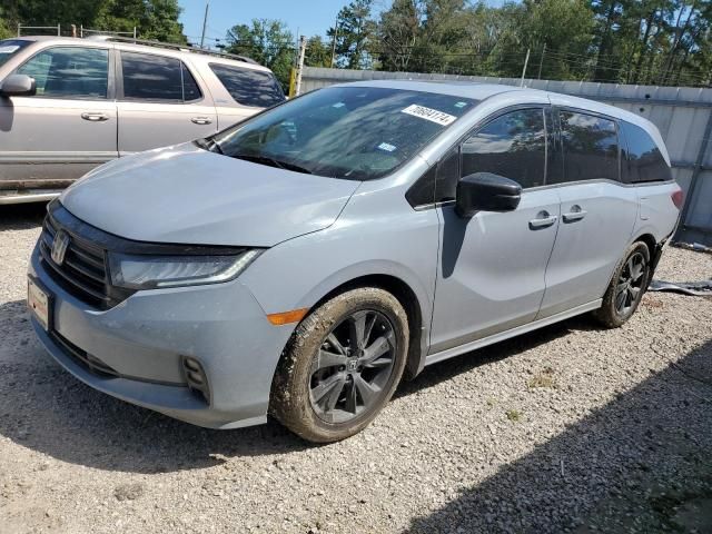 2023 Honda Odyssey SPORT-L