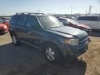 2008 Ford Escape XLT