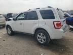 2010 Ford Escape Limited