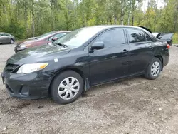 Carros dañados por inundaciones a la venta en subasta: 2013 Toyota Corolla Base