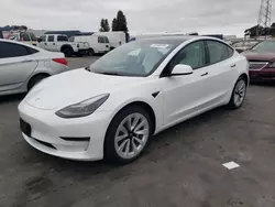 Salvage cars for sale at Hayward, CA auction: 2023 Tesla Model 3