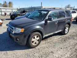 Ford salvage cars for sale: 2011 Ford Escape XLT