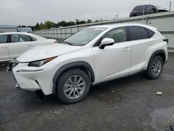 2021 Lexus NX 300H Base en venta en Pennsburg, PA