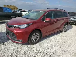 Salvage cars for sale at Taylor, TX auction: 2023 Toyota Sienna XLE