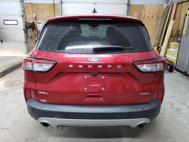 2022 Ford Escape SEL