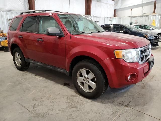 2009 Ford Escape XLT